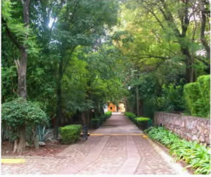 Hotel hacienda el marques