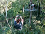 Actividades Puerto Vallarta