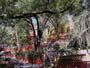 Parque el Chorro