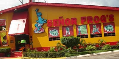 Señor Frogs, Ixtapa Zihuatanejo