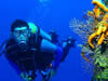 buceo en acapulco, isla de la roqueta