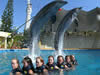 nado con delfines acapulco, parque acuatico cici acapulco
