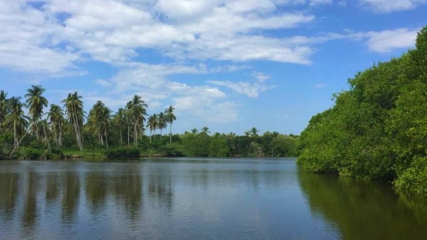 Laguna de Tres Palos, Acapulco Guerrero