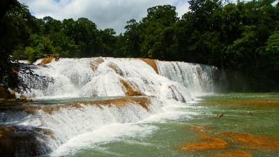 Cascadas de Agua Azul