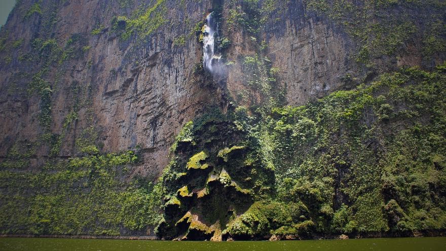 Árbol de Navidad, Parque Nacional Cañon del Sumidero en Chiapas