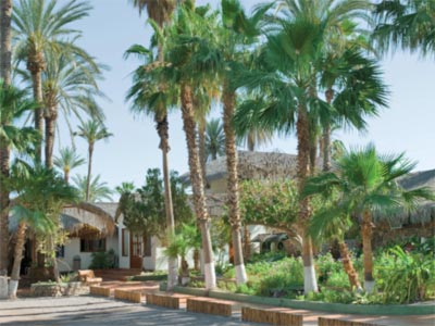 hoteles economicos loreto