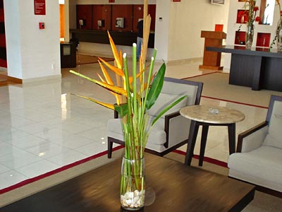 hoteles economicos villahermosa, hoteles baratos en villahermosa