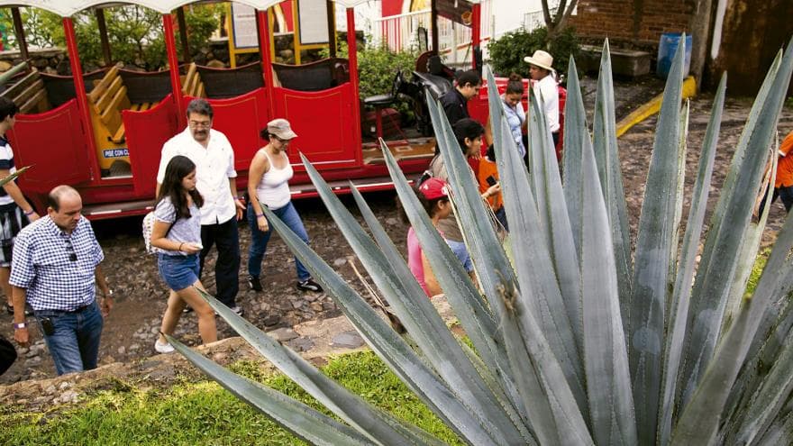 Tequila Jalisco