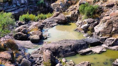 el Charco del Ingenio