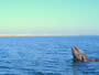 La paz