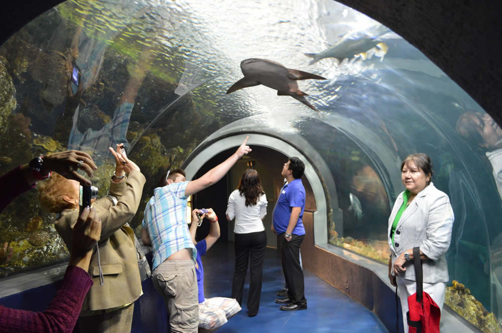 Acuario de Veracruz
