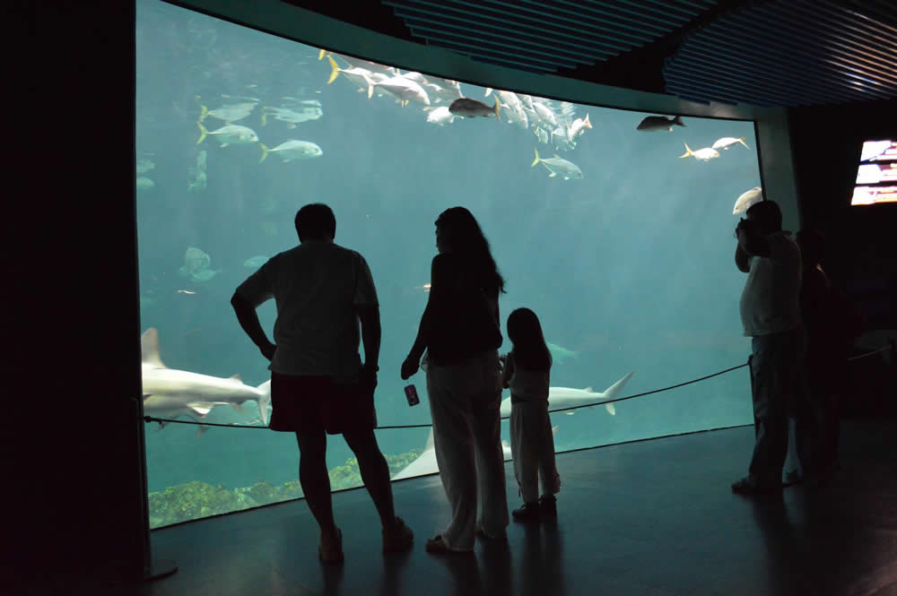 Acuario de Veracruz