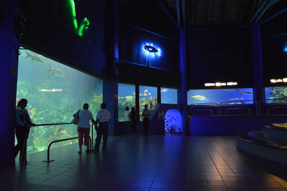 Acuario de Veracruz